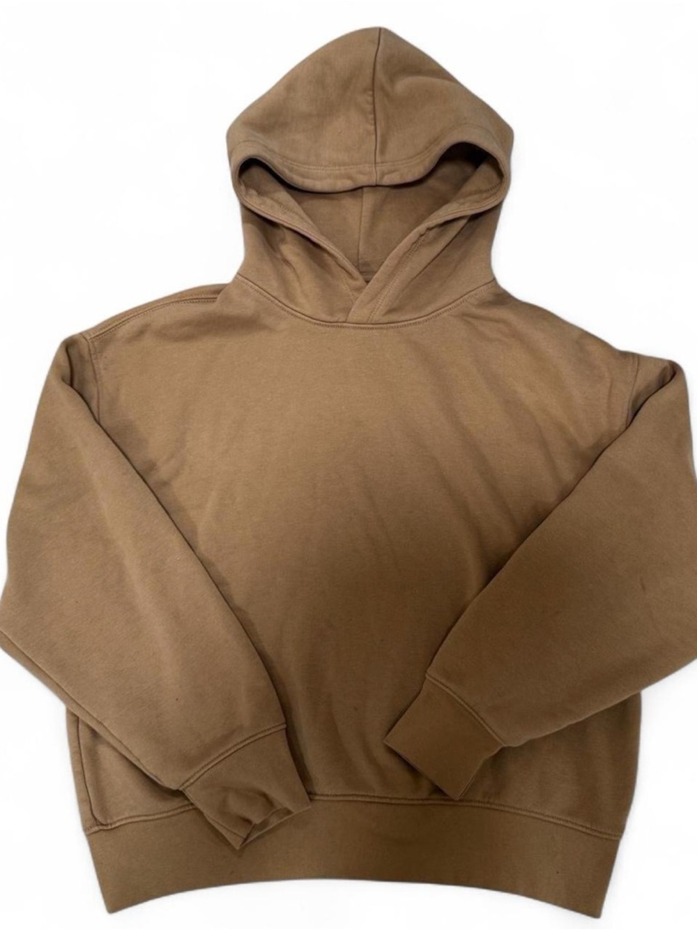 American Eagle Outfitters Brown Hooded Pullover Sweatshirt